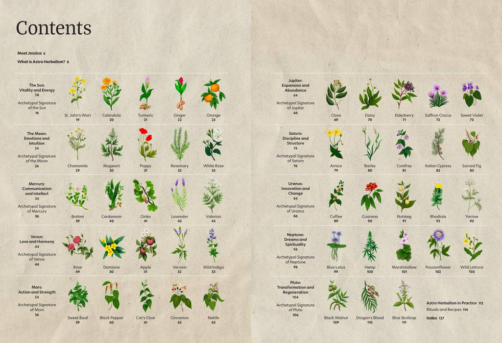 Astro Herbalism: Hardcover
