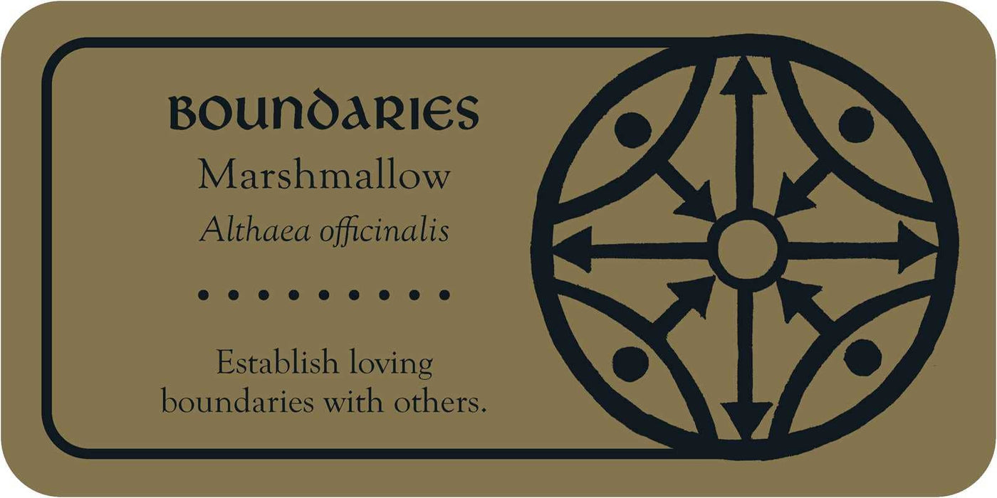 Medieval Herb Sigils by Priestess Moon: Flashcards; 40 pages / English