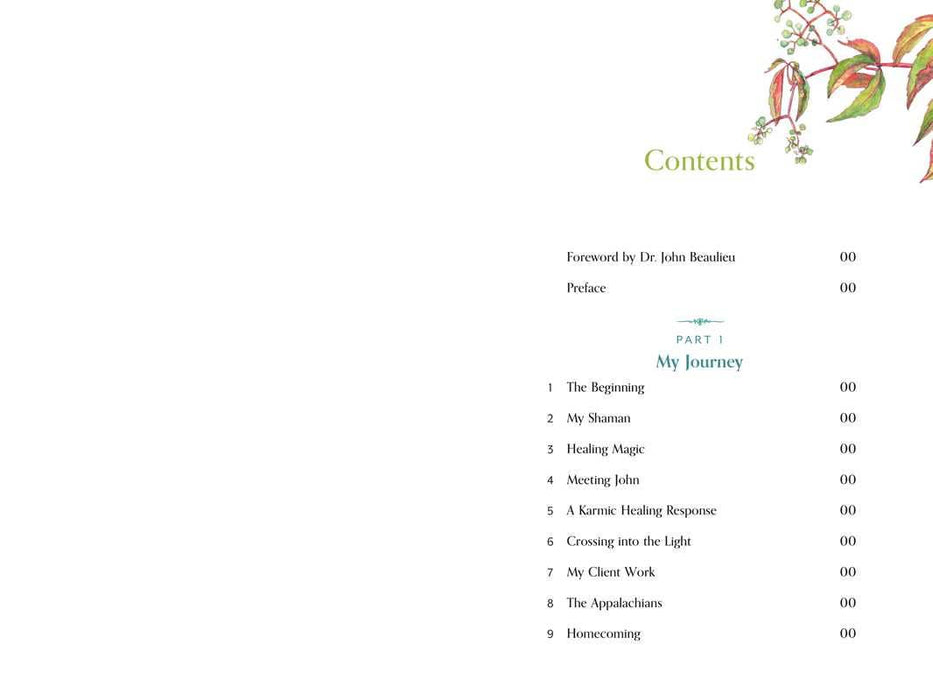 Divine Nature of Plants by Laura Aversano: Paperback