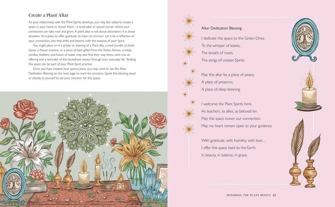 Plant Spirit Wisdom by Karine Gordineer: Paperback; 144 pages / English