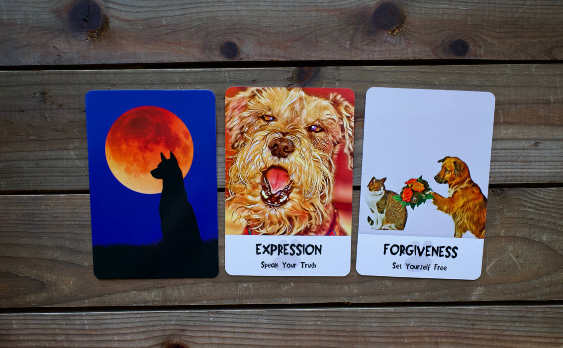 Divine Dog Wisdom Deck: 62 Cards & 144 Page Guidebook