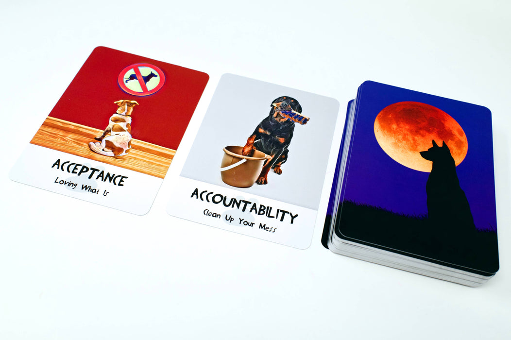 Divine Dog Wisdom Deck: 62 Cards & 144 Page Guidebook