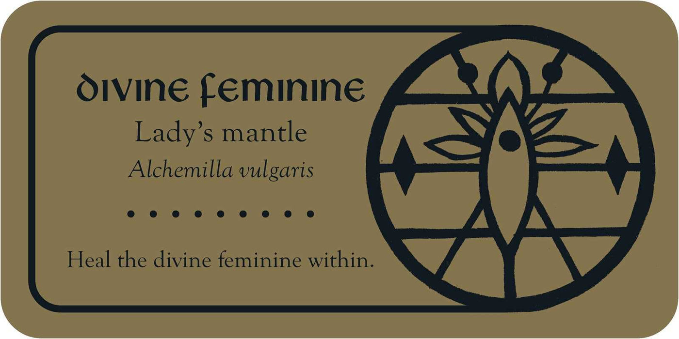 Medieval Herb Sigils by Priestess Moon: Flashcards; 40 pages / English