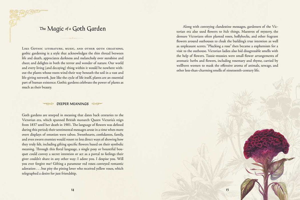 Goth Garden by Felicia Feaster: Hardcover