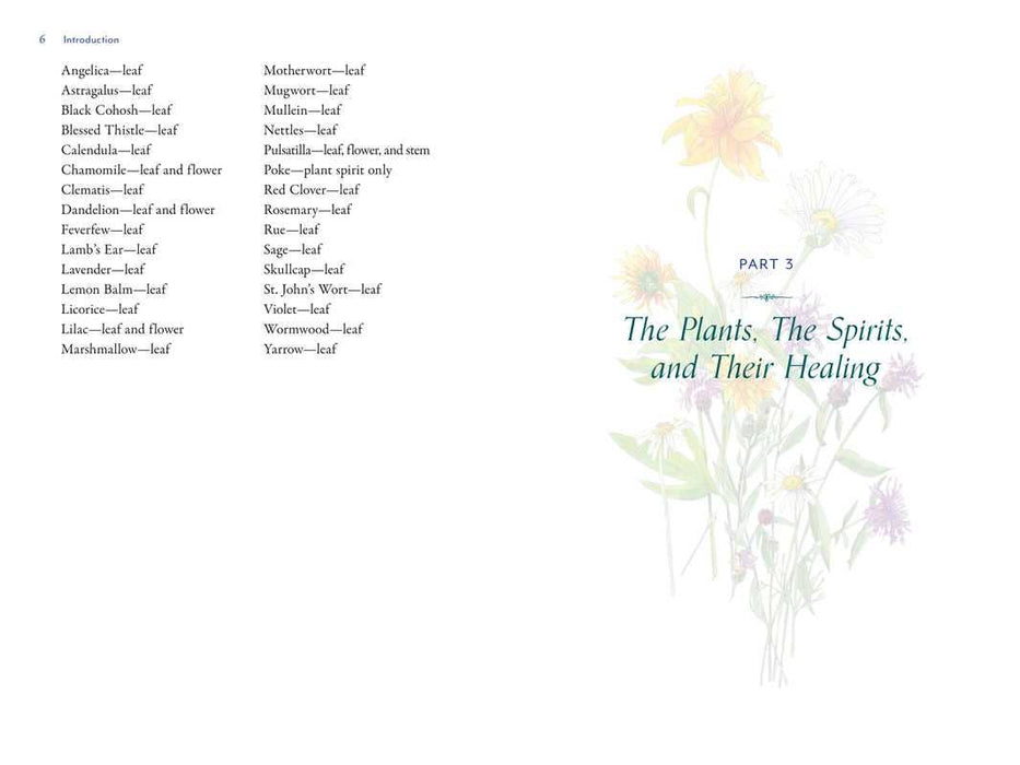 Divine Nature of Plants by Laura Aversano: Paperback