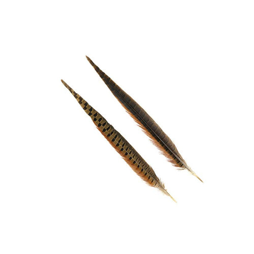 Ringneck Pheasant Tails 14-16" - Natural