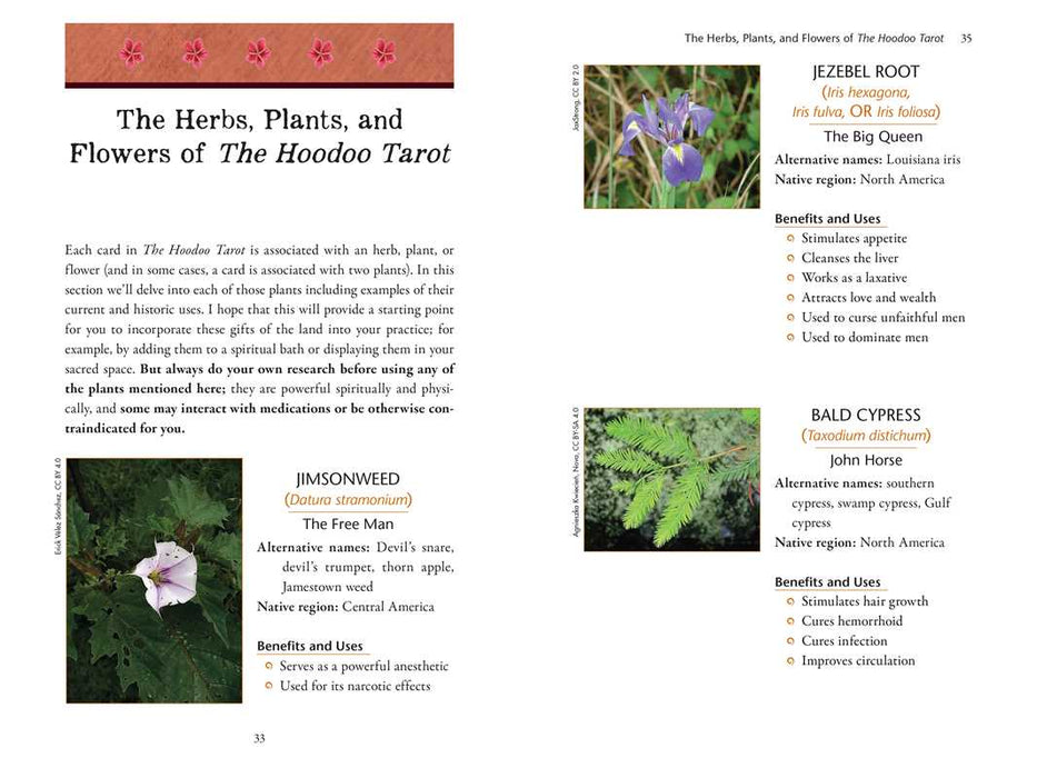 Hoodoo Tarot Workbook by Tayannah Lee McQuillar (BOOK ONLY)