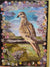 Florrie F Greeting Cards Mourning Dove