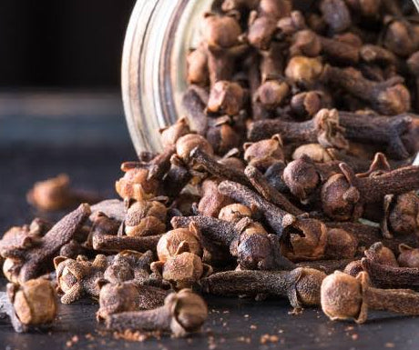 Clove