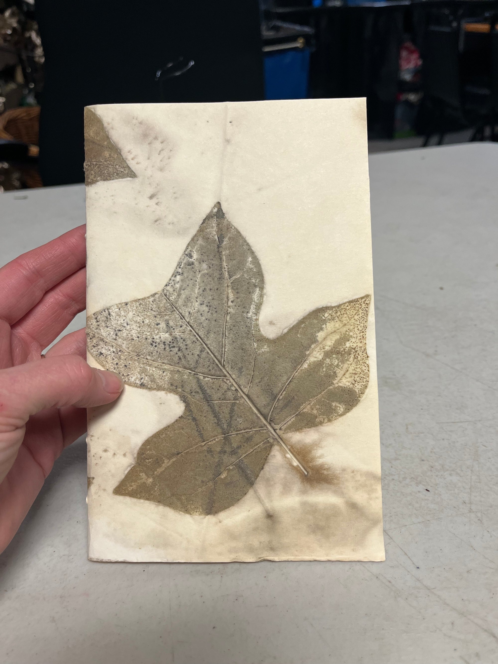 Eco Print Journal