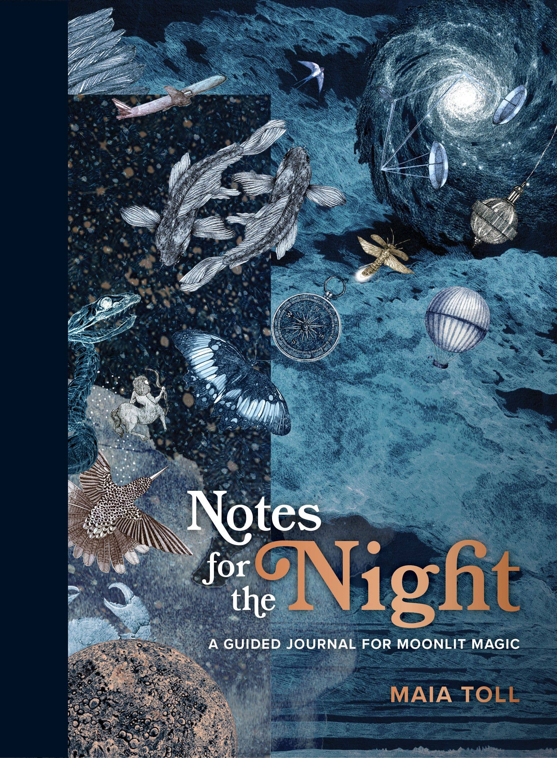 Notes for the Night by Maia Toll