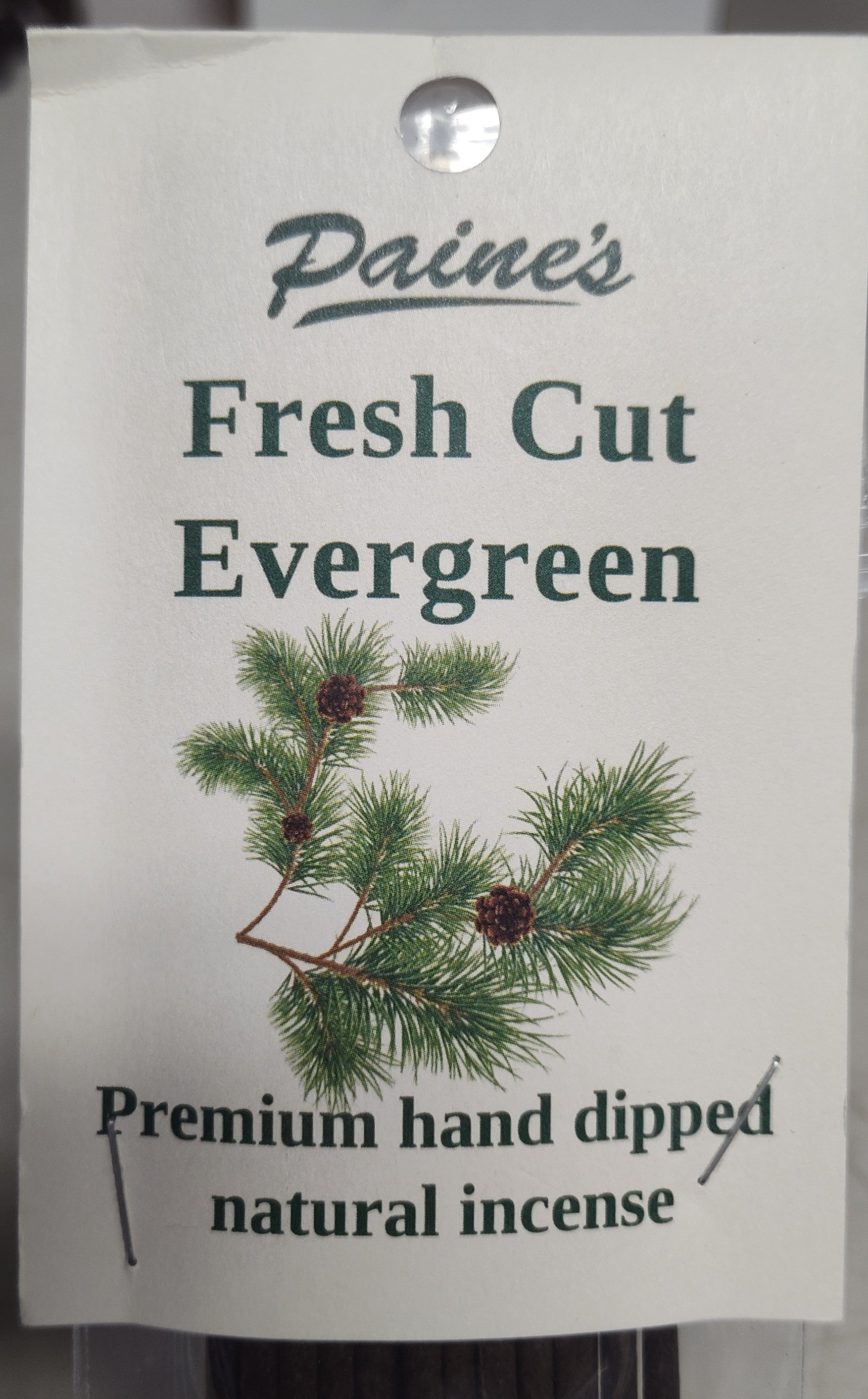 Paine's Stick Incense-Fresh Cut Evergreen