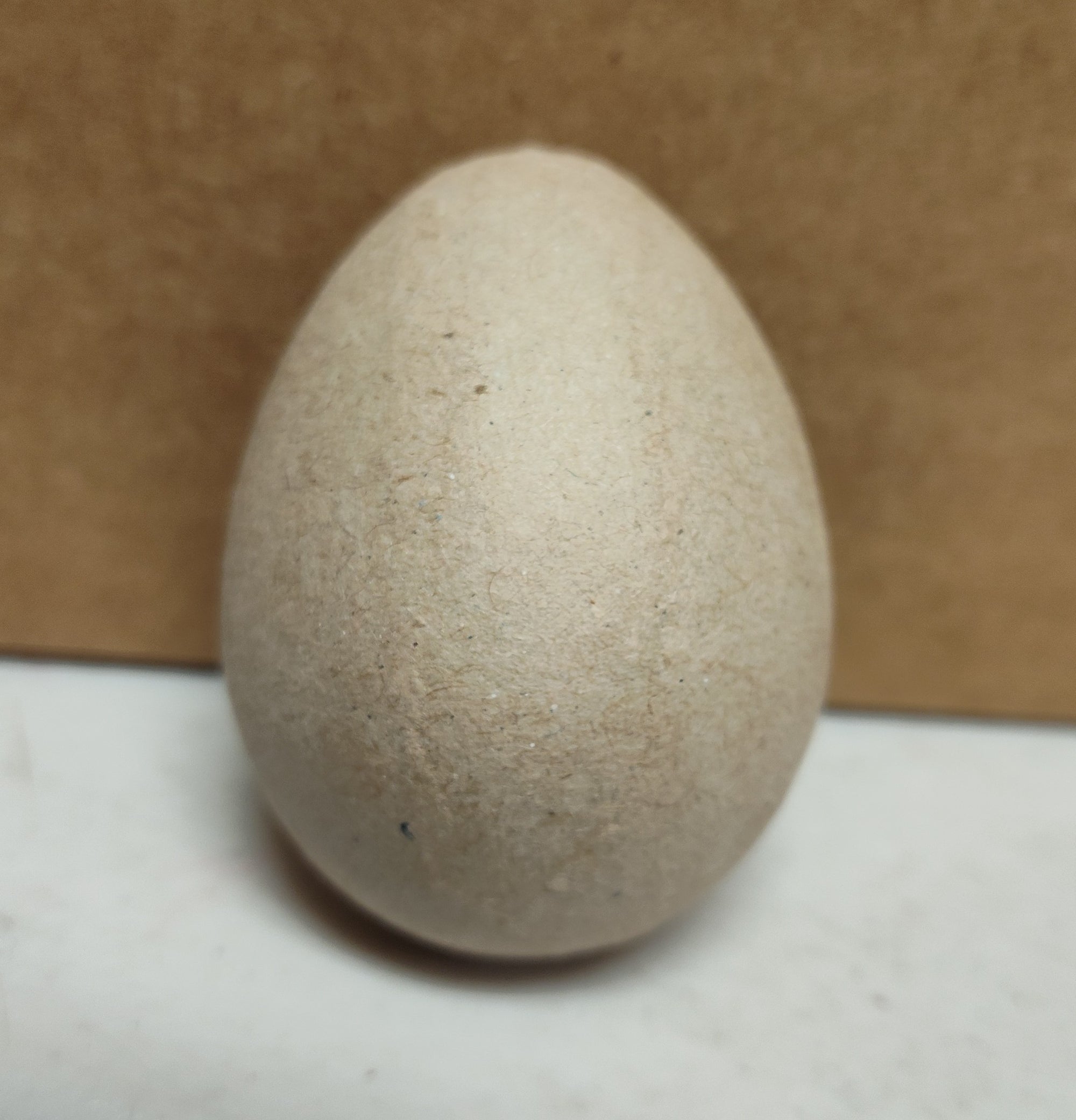Paper Mache Chicken Egg
