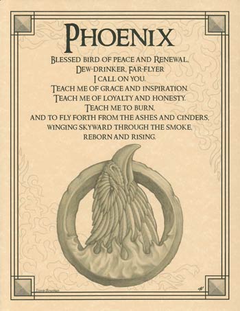 Poster Phoenix