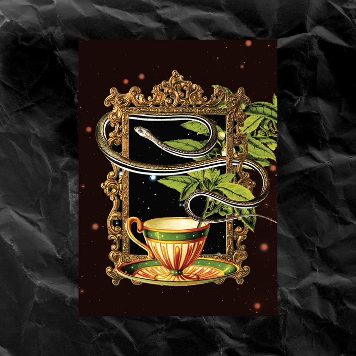 Tea Leaf Reading Reference Guide