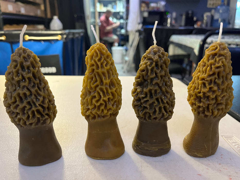 Beeswax Morel Mushroom