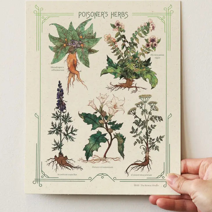 Poisoner's Herbs Print 8 x 10"
