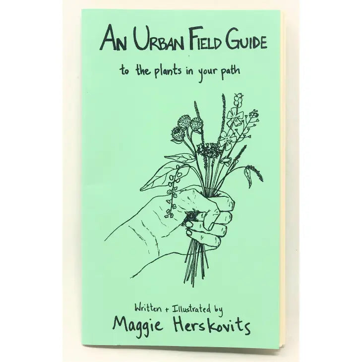 Urban Field Guide to the Plants in Your Path (Zine) by Maggie Herskovits
