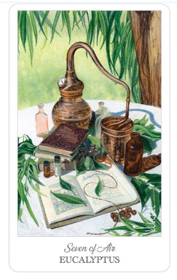 Herbcrafter’s Tarot