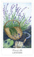 Herbcrafter’s Tarot