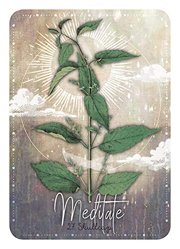 Magickal Herb Oracle Deck