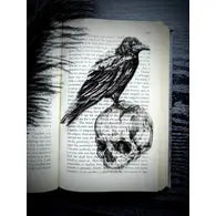 Clear Bookmark - Crow on Skull Goth Gothic