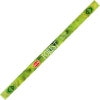 Hem Forest Incense (8 Sticks)