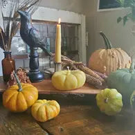 Pumpkin Beeswax Candle