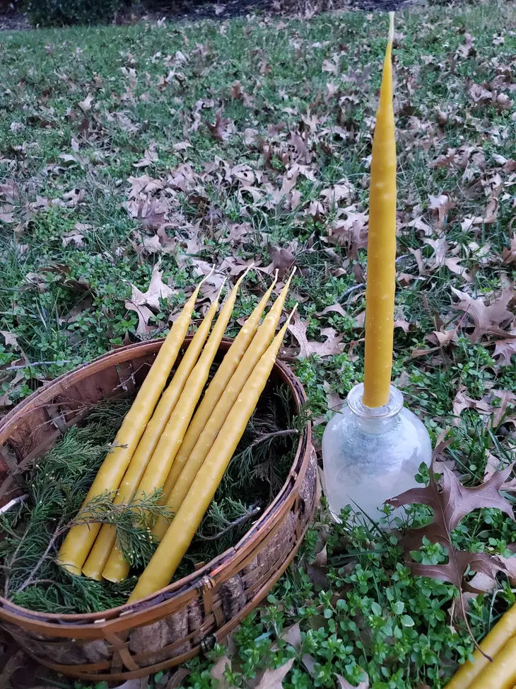 Hand Dipped Beeswax Taper Candle  Pair