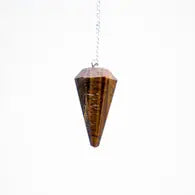 Pendulum Polished Faceted: Tiger Eye