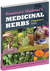 Rosemary Gladstar's Medicinal Herbs: A Beginner's Guide