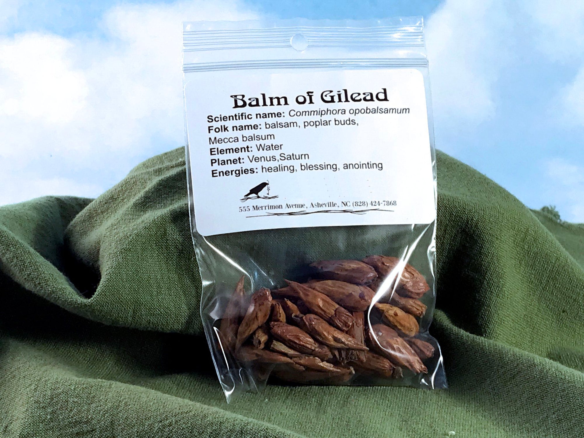 Balm of Gilead