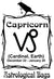 Capricorn Astrological Bag