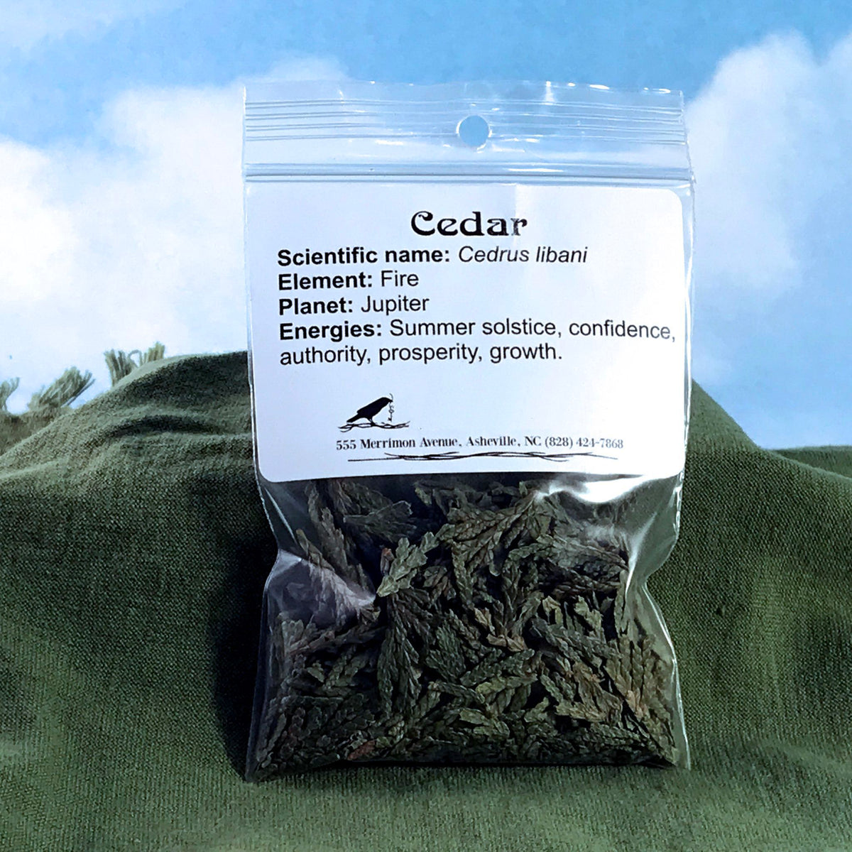 Cedar Tips– Asheville Pagan Supply