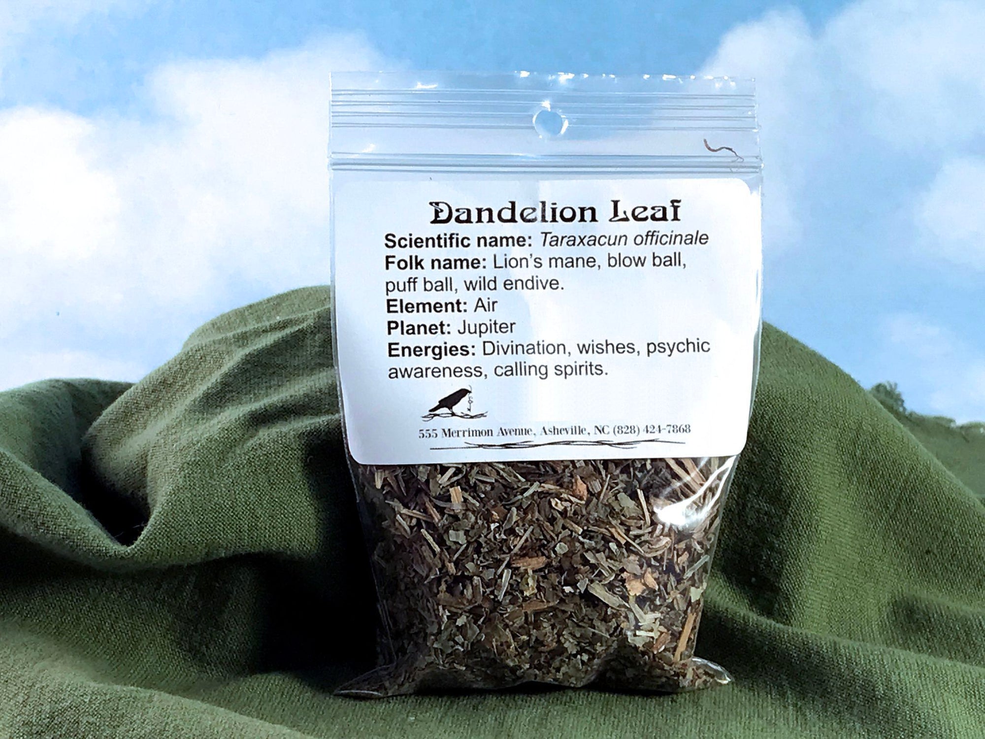Dandelion Leaf