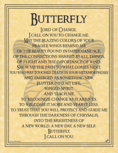 Poster Butterfly