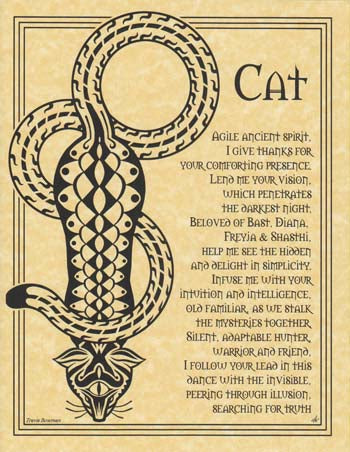 Poster Cat