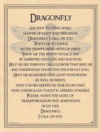 Poster Dragonfly