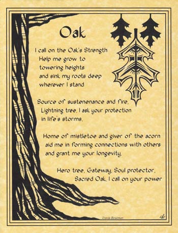 Poster Oak