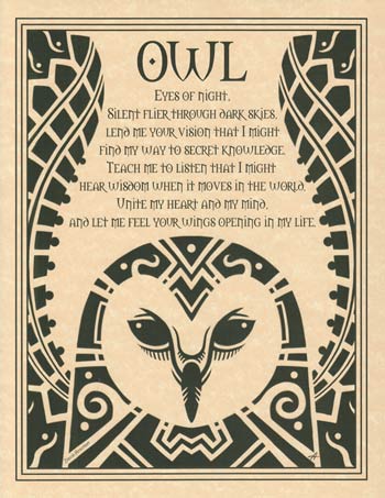 Poster Owl