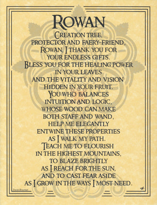 Poster Rowan Tree