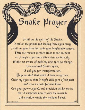 Poster Snake Prayer