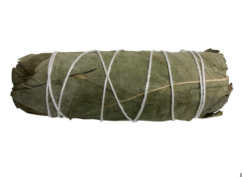 Eucalyptus Smoke Bundle 4"