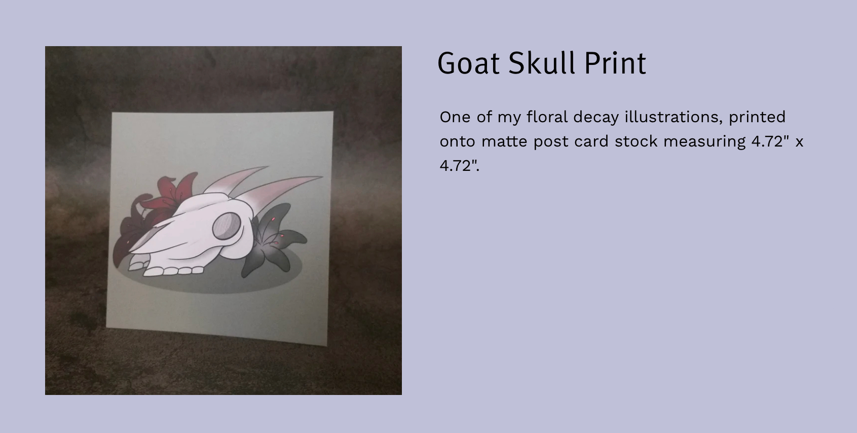 SM Goat Skull Print 4.72' by 4.72'