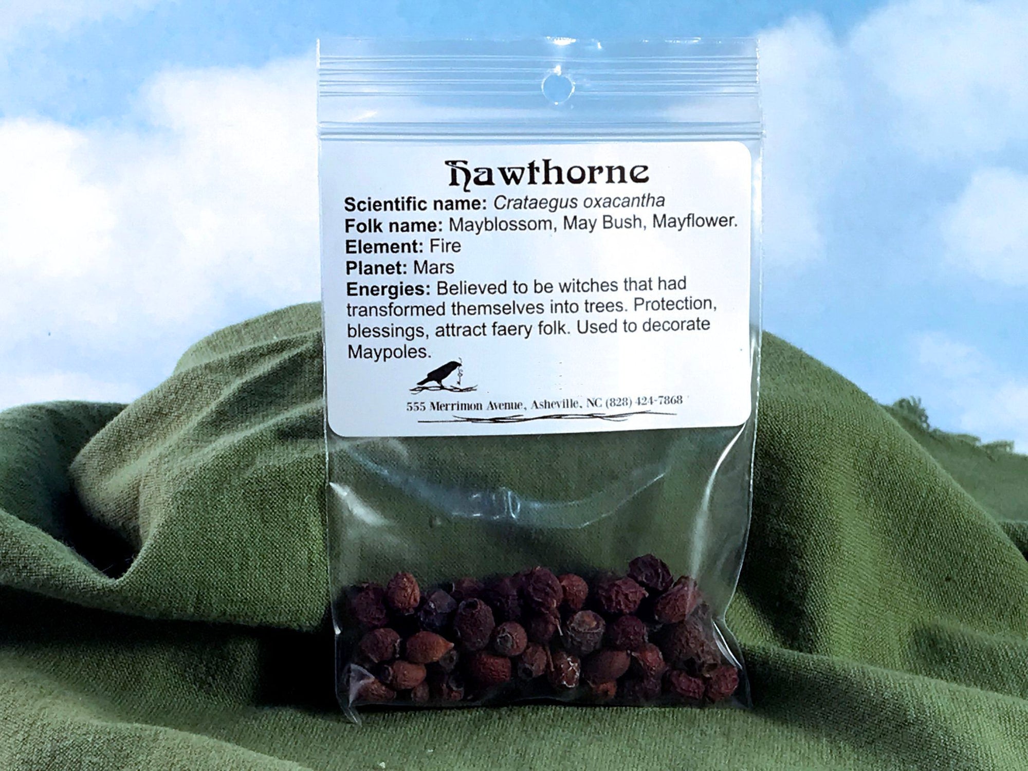 Hawthorne Berries