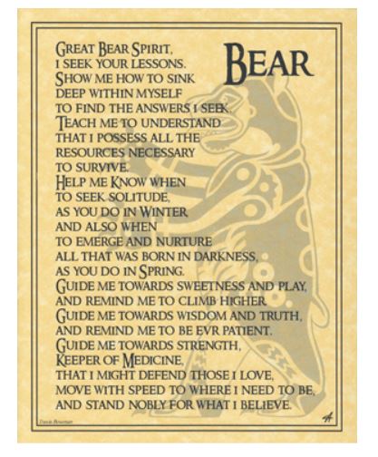 Poster Bear