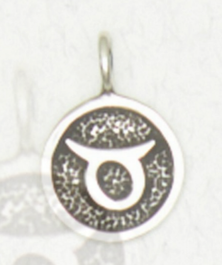 Zodiac Necklace Talismans Symbol