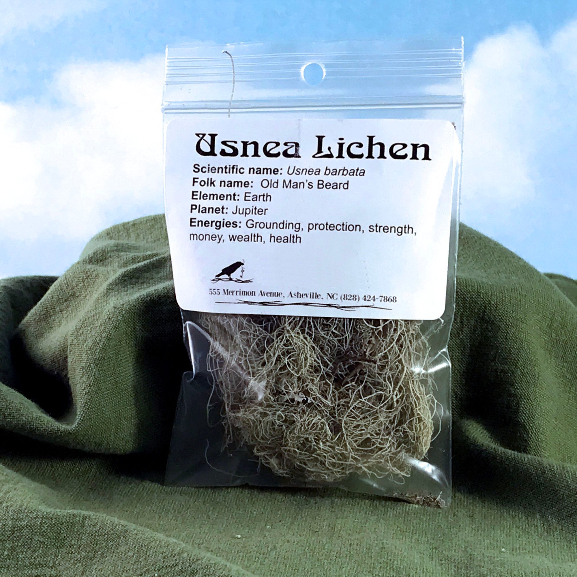 Usnea Lichen