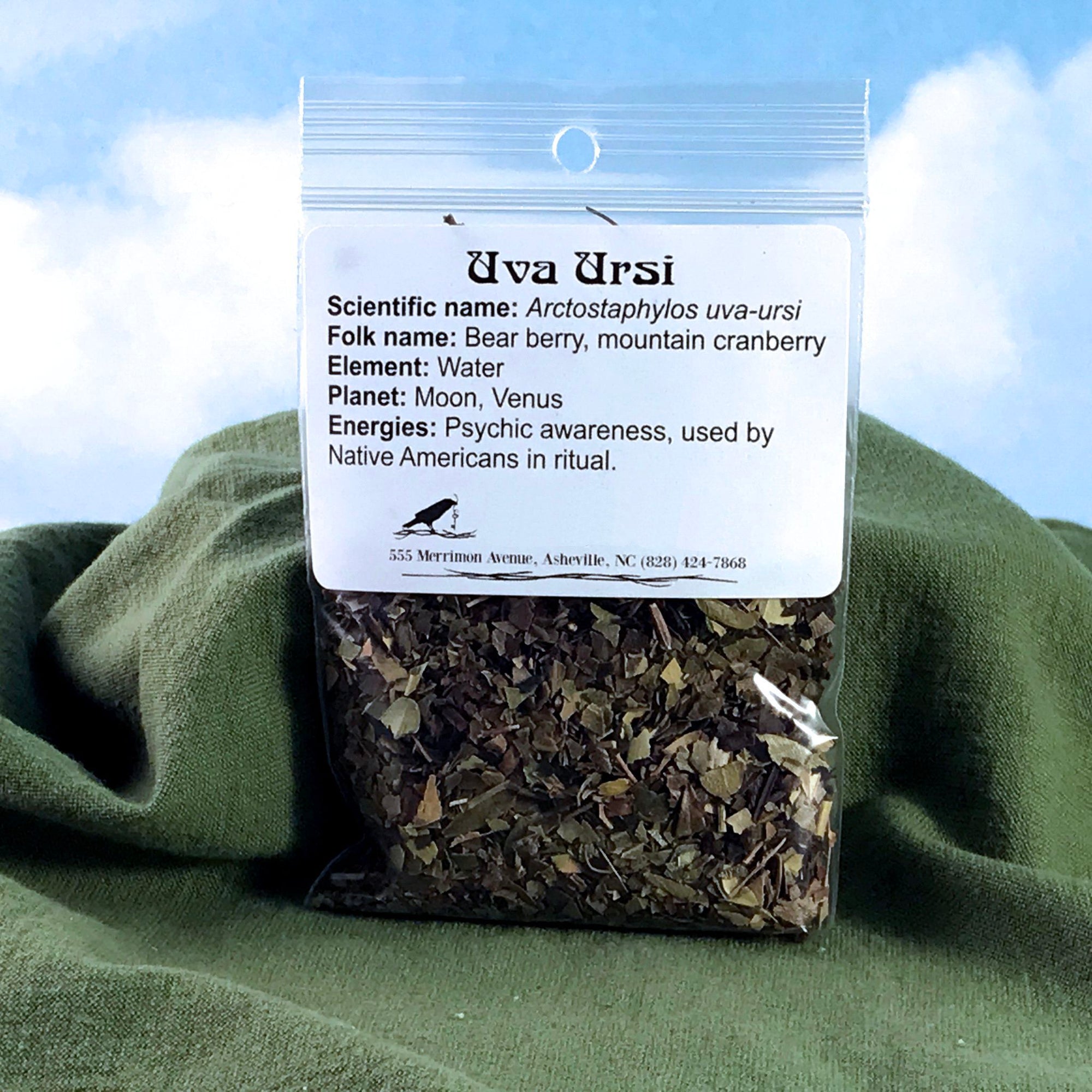 Uva Ursi