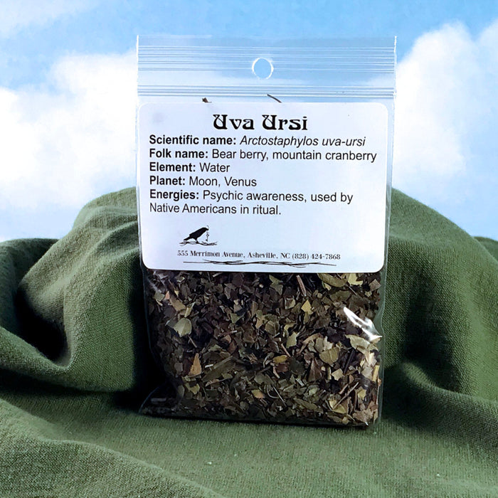 Uva Ursi